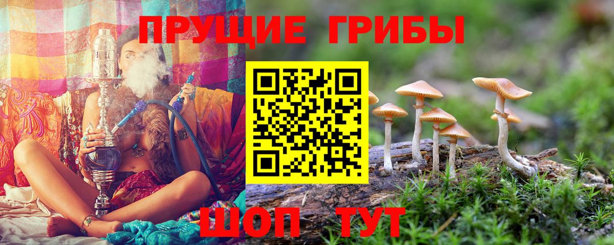 Галлюциногенные грибы Magic Shrooms  Вход с VPN  Тамбов 